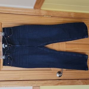 L.L.Bean Favorite Fit Jeans Size 18 Reg